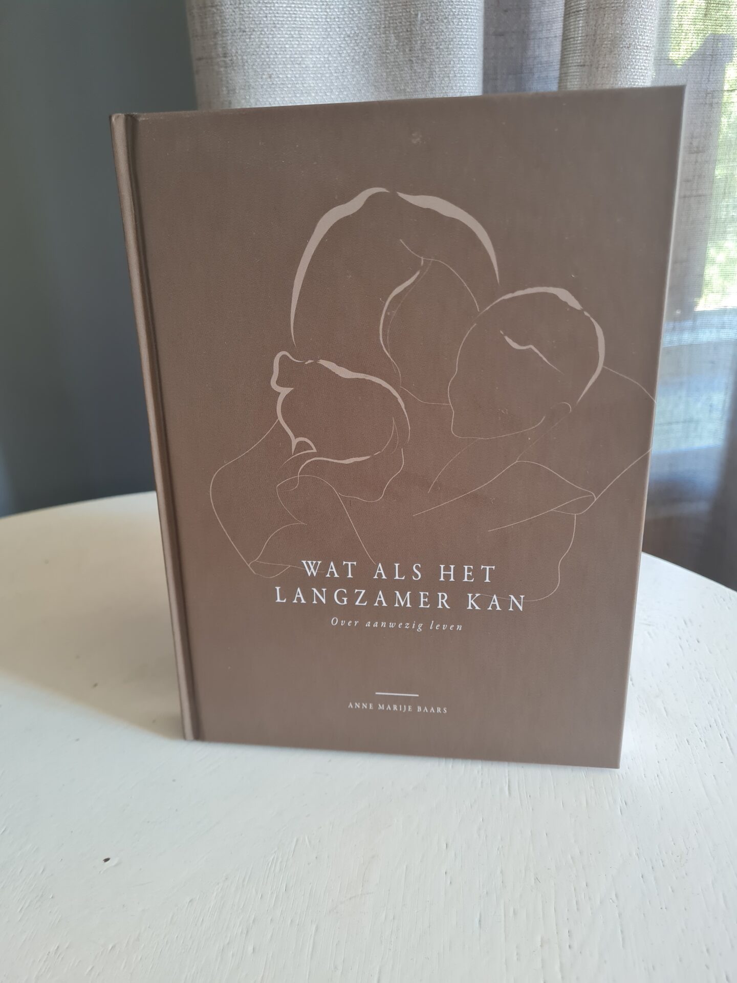 Wat als het langzamer kan – Anne Marije Baars